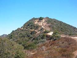 IMG_0525.jpg