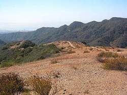 IMG_0526.jpg