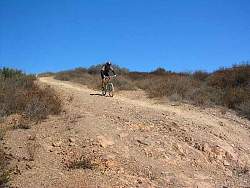 IMG_0538.jpg