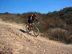 IMG_0539.jpg