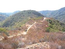 IMG_0542.jpg