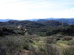 IMG_4939.jpg