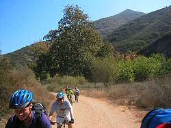 IMG_0905.jpg