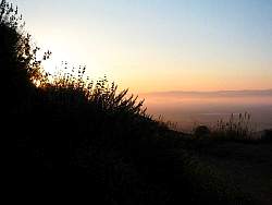 IMG_6617.jpg
