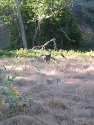 IMG_7235.jpg