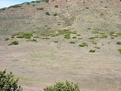IMG_1157.jpg