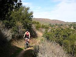 IMG_1171.jpg