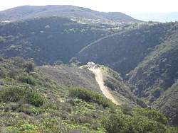 IMG_4484.jpg