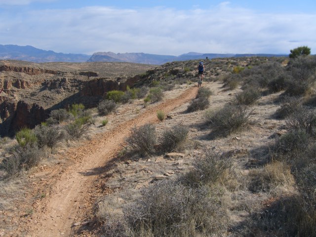 CIMG1048.JPG