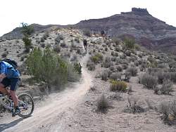 IMG_2225.jpg