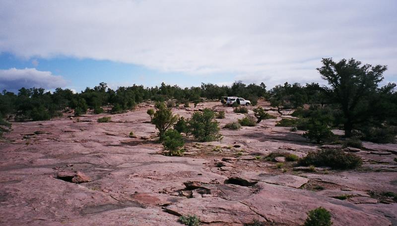 06480018.jpg
