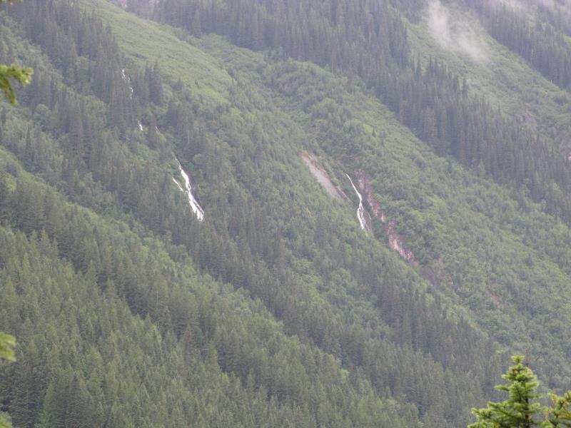 IMG_0845.jpg