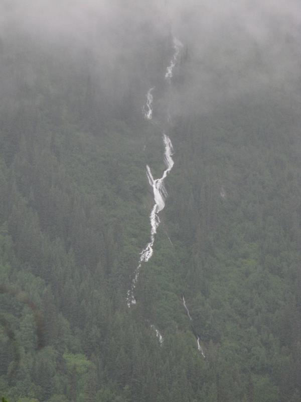 IMG_0859.jpg
