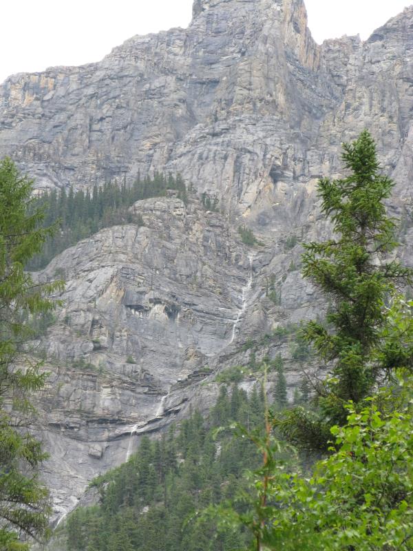 IMG_0989.jpg