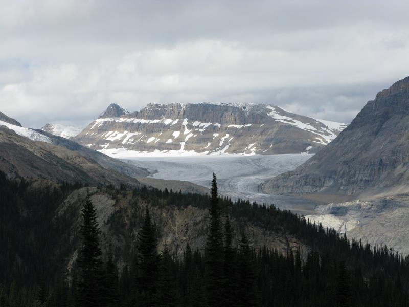 IMG_1183.jpg