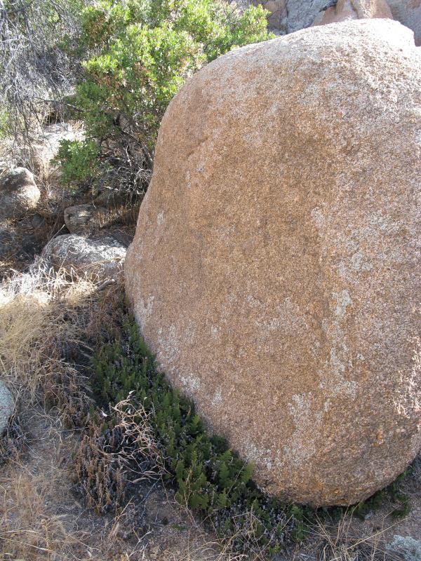 IMG_1905.jpg