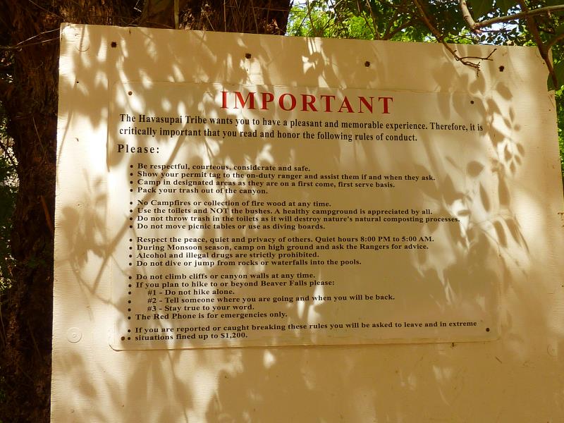 P1020610.jpg