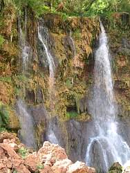 IMG_8314.jpg