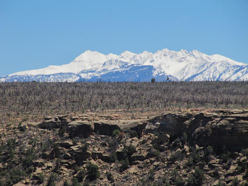 IMG_8658.jpg