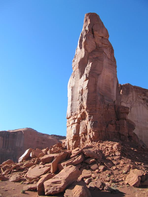 IMG_8742.jpg