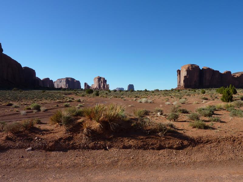P1020924.jpg