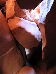 IMG_9081.jpg