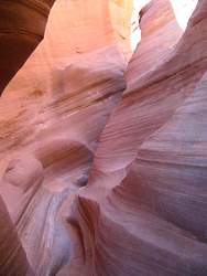IMG_9112.jpg