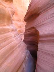 IMG_9114.jpg