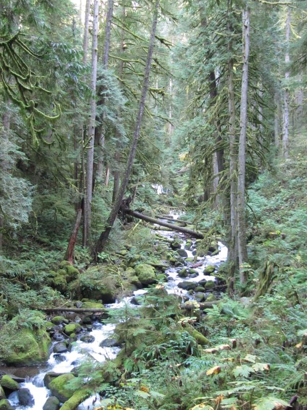 IMG_1669.jpg