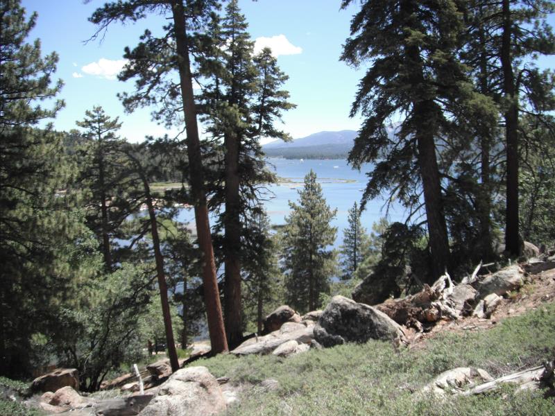 DSCF2452.jpg