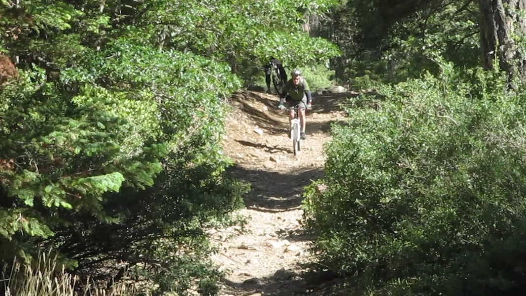 Image11.jpg