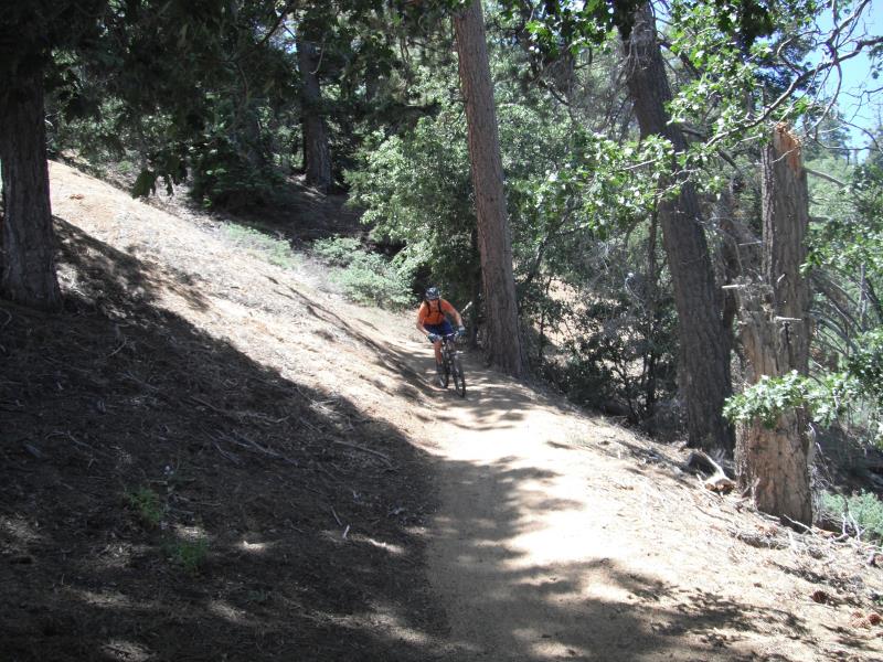 DSCF2387.jpg