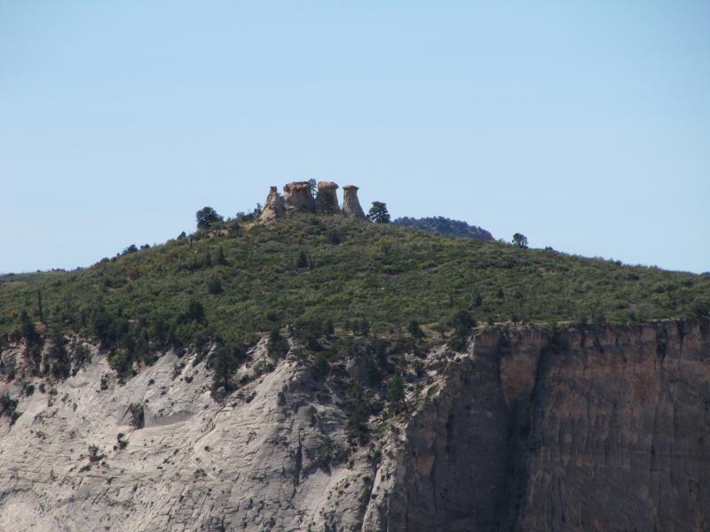 IMG_7185.jpg