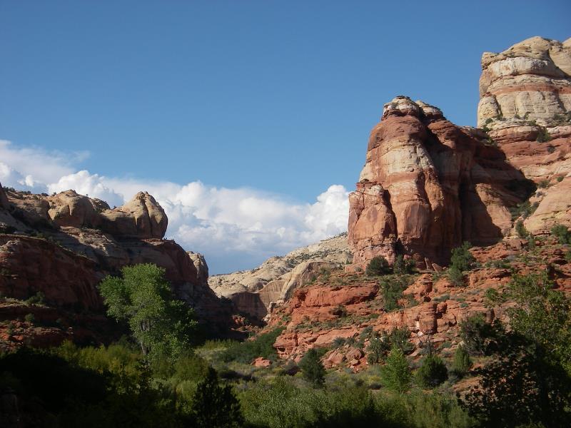 IMGP0102.jpg