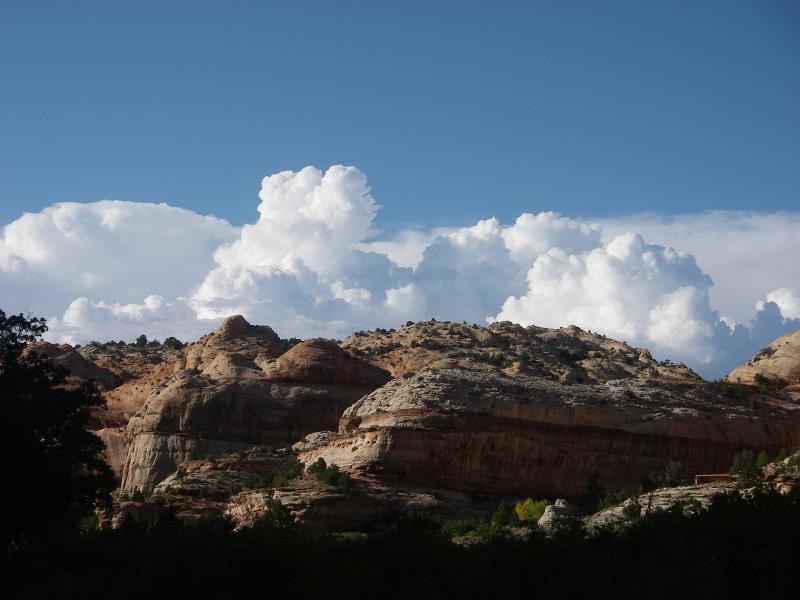 IMGP0107.jpg