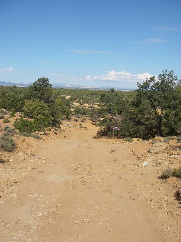 IMGP0172.jpg