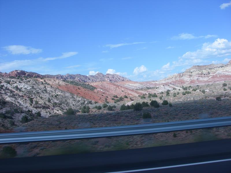 IMGP0232.jpg
