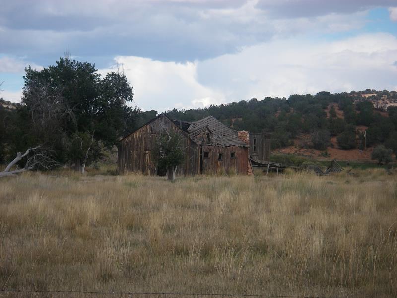 IMGP0311.jpg