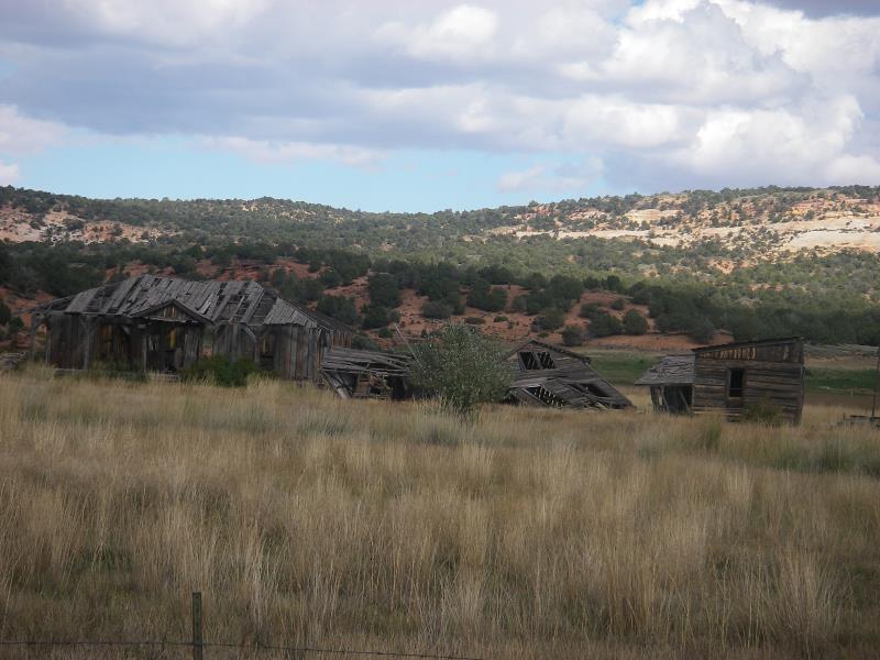 IMGP0312.jpg