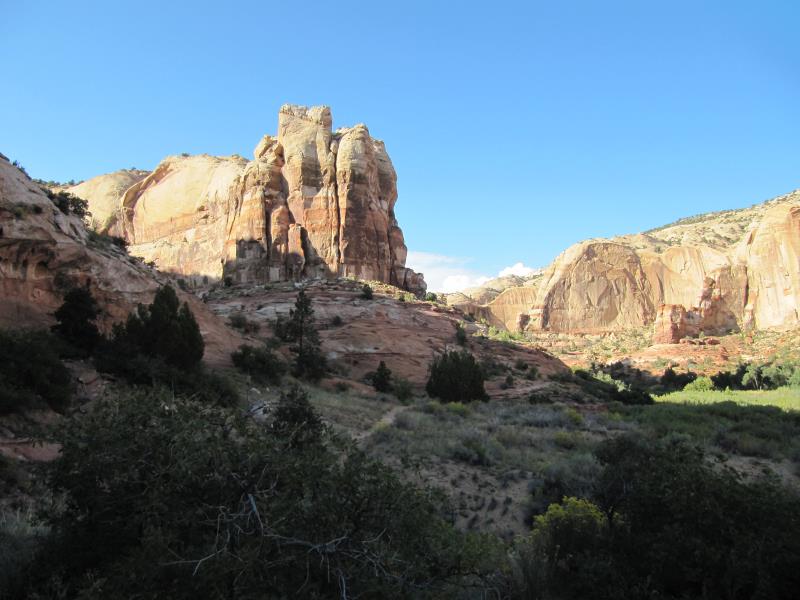IMG_7845.jpg