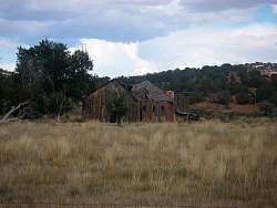 IMGP0311.jpg