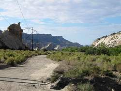 IMG_7904.jpg