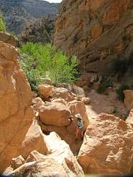 IMG_7919.jpg