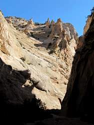 IMG_7922.jpg