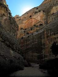 IMG_7936.jpg