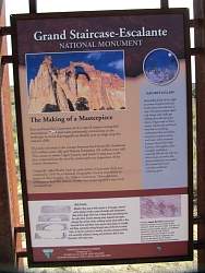 IMG_7954.jpg