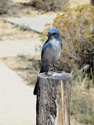 IMG_7957.jpg