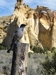 IMG_7959.jpg