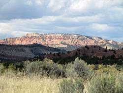IMG_7978.jpg