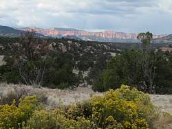 IMG_7985.jpg